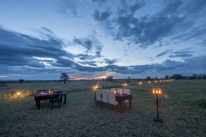 Imagen general del Hotel Serengeti Acacia Central Camp. Foto 15