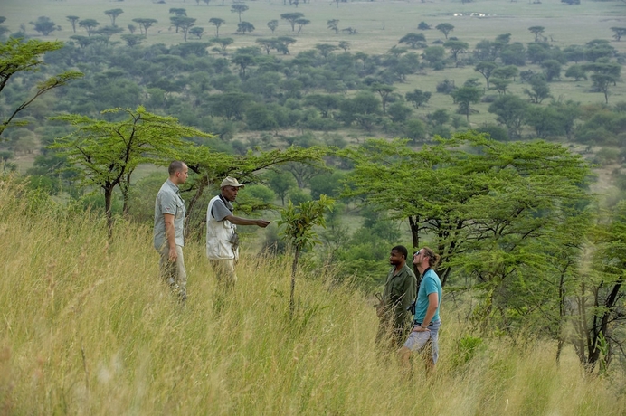 Imagen general del Hotel Serengeti Serena Safari Lodge. Foto 3