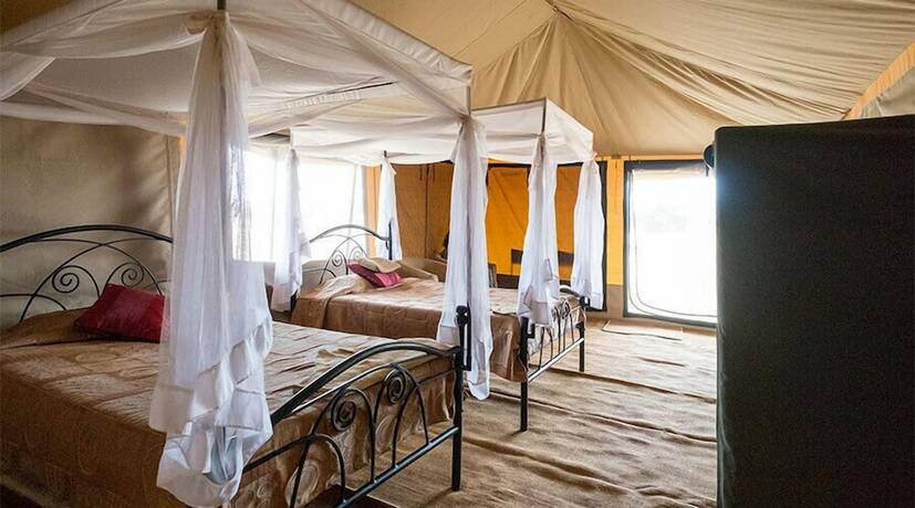 Imagen de la habitación del Hotel Serengeti Wild Camps. Foto 17