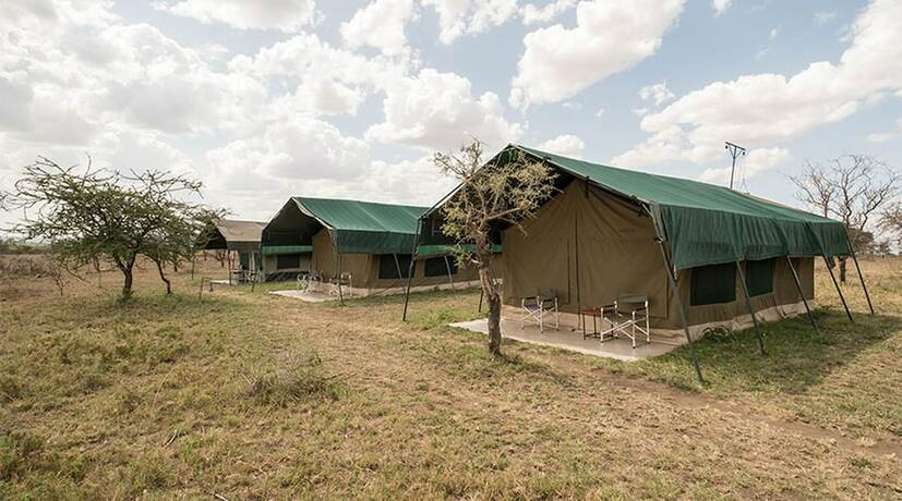 Imagen general del Hotel Serengeti Wild Camps. Foto 4