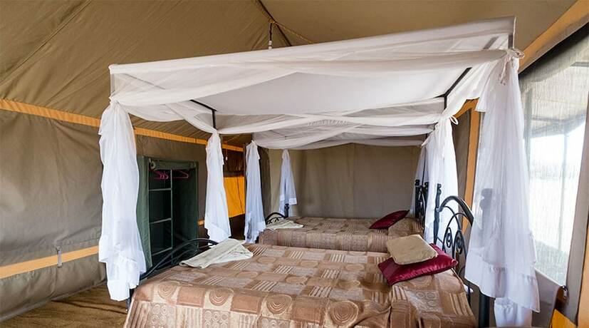 Imagen de la habitación del Hotel Serengeti Wild Camps. Foto 19