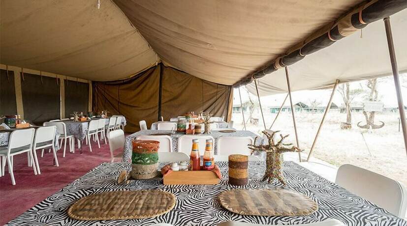 Imagen general del Hotel Serengeti Wild Camps. Foto 8