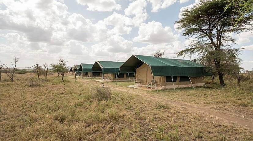 Imagen general del Hotel Serengeti Wild Camps. Foto 9