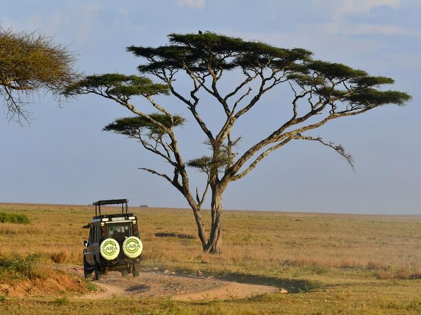 Imagen general del Hotel Serengeti Wild Camps. Foto 13