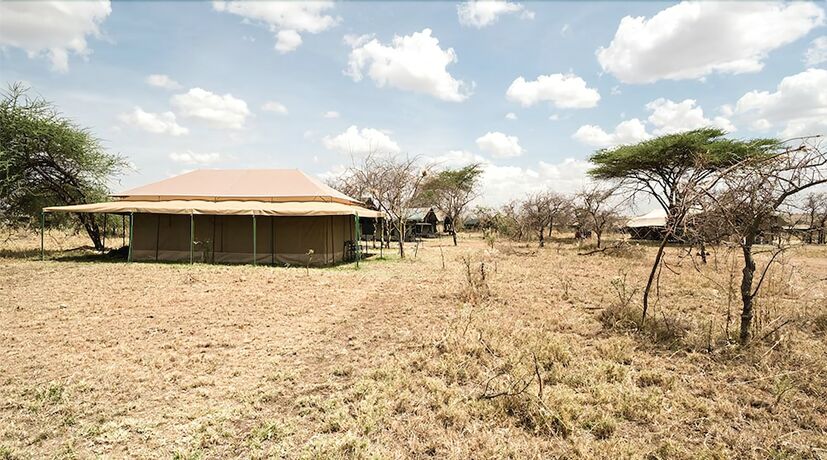 Imagen general del Hotel Serengeti Wild Camps. Foto 14