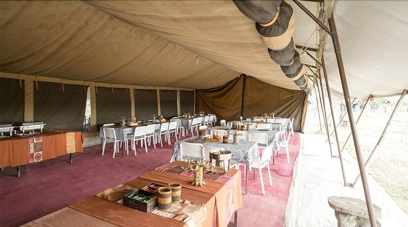 Imagen general del Hotel Serengeti Wild Camps. Foto 16
