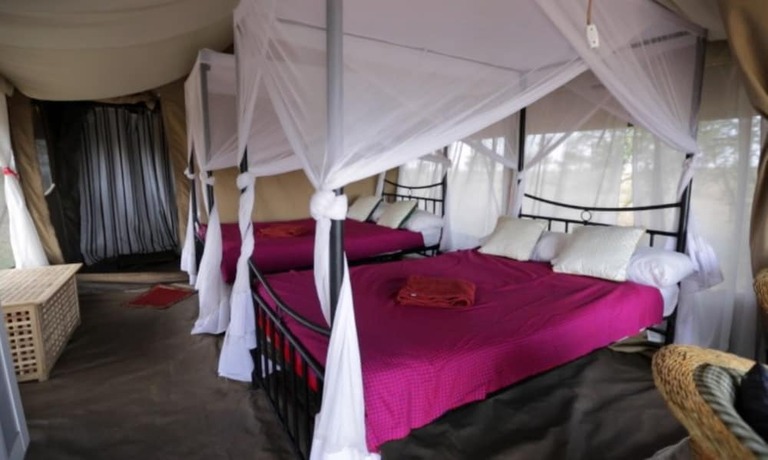 Imagen de la habitación del Hotel Serengeti Wildebeest Camp. Foto 15