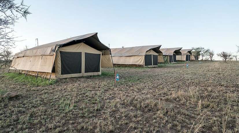 Imagen general del Hotel Serengeti Wildebeest Camp. Foto 9