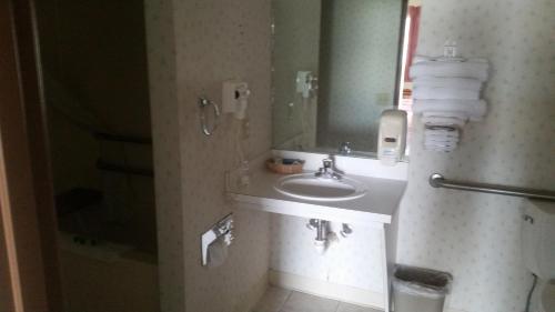 Imagen de la habitación del Hotel Serenity Inn, Branson. Foto 6