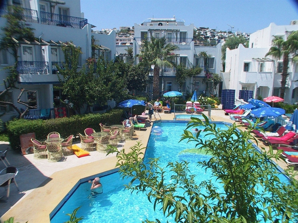 Imagen de la piscina del Hotel Serhan. Foto 13