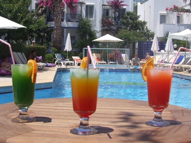 Imagen de la piscina del Hotel Serhan. Foto 14