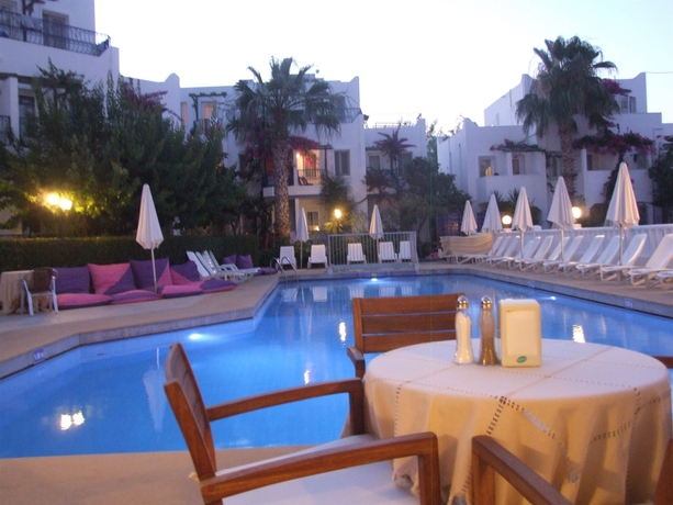Imagen de la piscina del Hotel Serhan. Foto 15