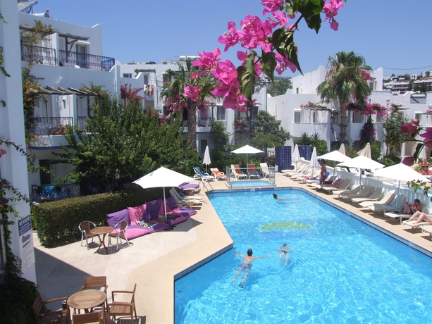 Imagen de la piscina del Hotel Serhan. Foto 16
