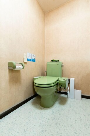 Imagen de la habitación del Hotel Seruju Asahi 601. Foto 12