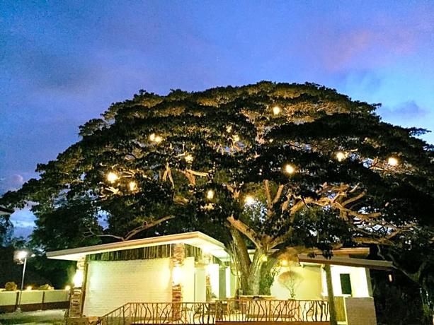 Imagen general del Hotel Serviced Apartments by Eco Hotel Bohol. Foto 10