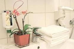 Imagen general del Hotel Serviced-Appartements-Josefstadt. Foto 8