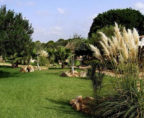 Imagen general del Hotel Ses Rotes Velles - Petit Hotel. Foto 5