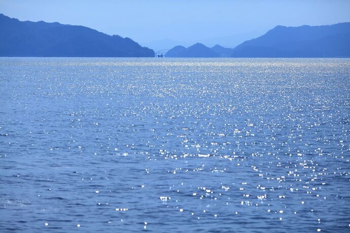Imagen de los exteriores del Hotel Setouchi Villa Diary Ohshibajima. Foto 17