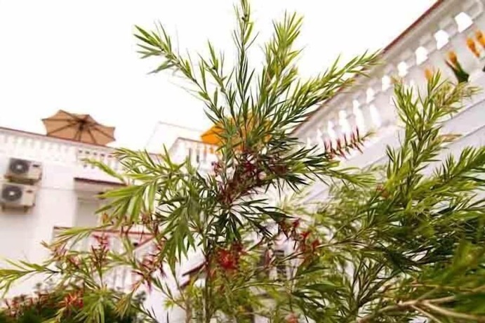 Imagen general del Hotel Sevas Studios. Foto 10