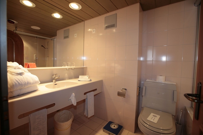 Imagen de la habitación del Hotel Seven Alpina Boutique. Foto 17