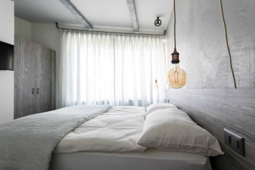 Imagen de la habitación del Hotel Seven Boutique, Ascona. Foto 8