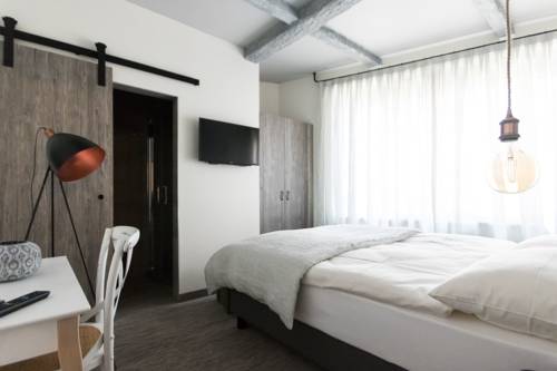 Imagen de la habitación del Hotel Seven Boutique, Ascona. Foto 14