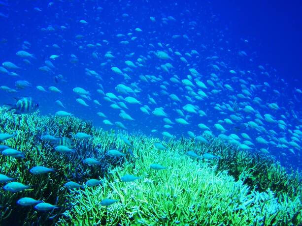 Imagen general del Hotel Seven Colors Ishigakijima. Foto 12