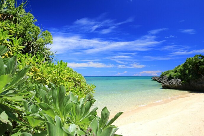 Imagen de la habitación del Hotel Seven Colors Ishigakijima. Foto 21