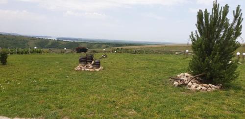 Imagen general del Hotel Seven Generations Winery. Foto 11