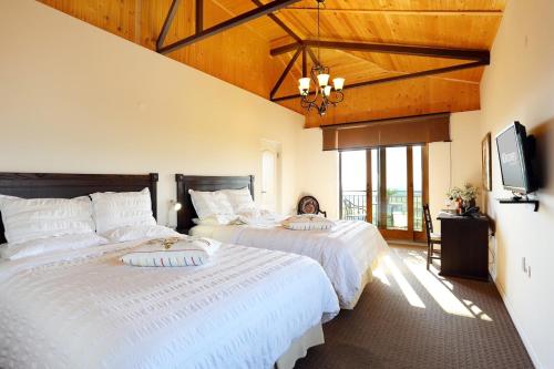 Imagen de la habitación del Hotel Seven Generations Winery. Foto 18