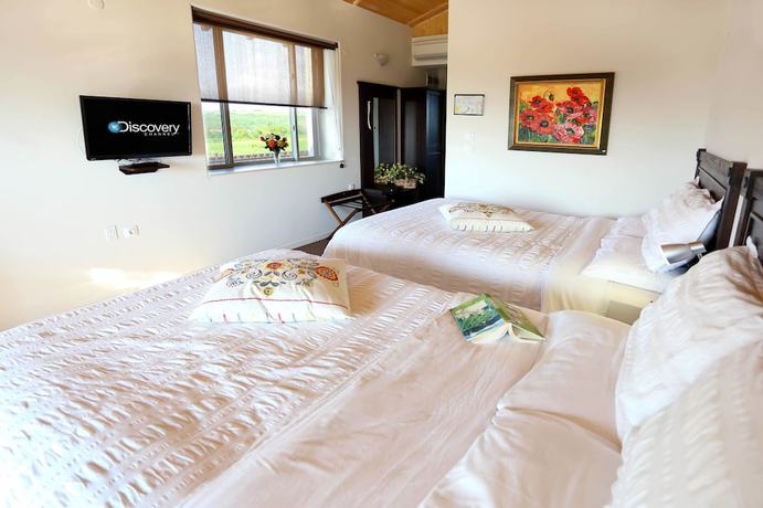 Imagen de la habitación del Hotel Seven Generations Winery Hotel and SPA. Foto 17
