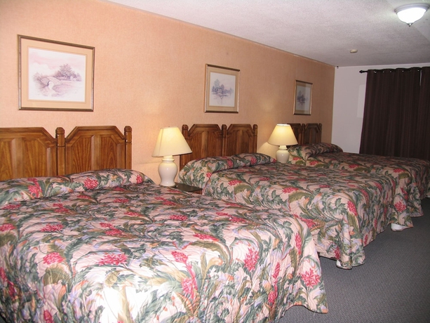 Imagen de la habitación del Hotel Seven Oakes Motel. Foto 10
