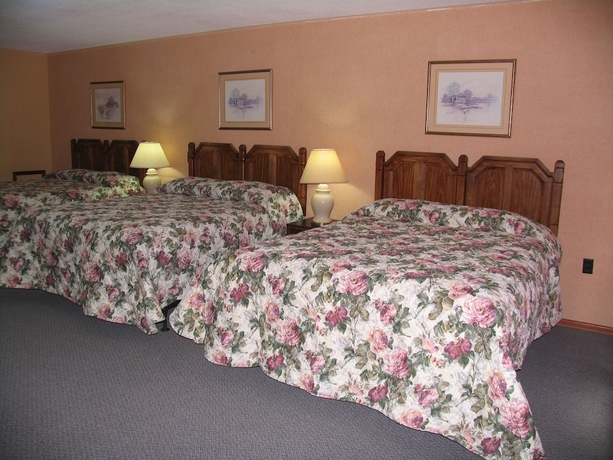 Imagen de la habitación del Hotel Seven Oakes Motel. Foto 11
