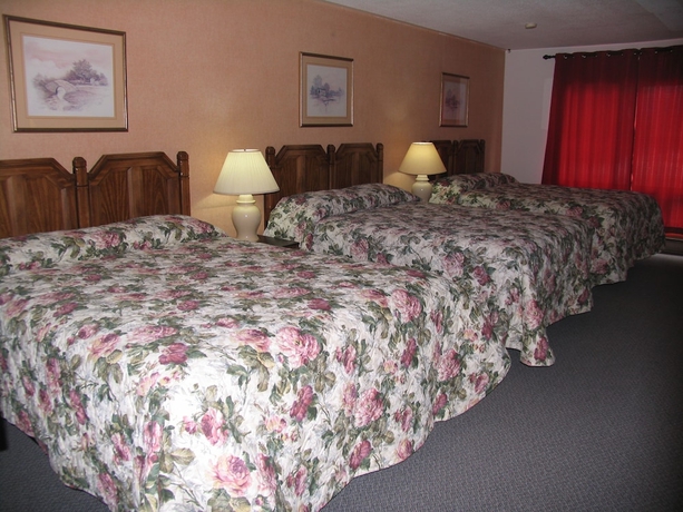 Imagen de la habitación del Hotel Seven Oakes Motel. Foto 14