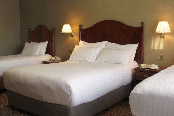 Imagen de la habitación del Hotel Seven Oaks, Carlow. Foto 3