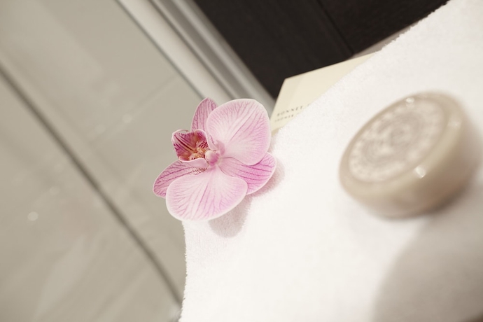 Imagen de la habitación del Hotel Seven Urban Suites Nantes Centre. Foto 16