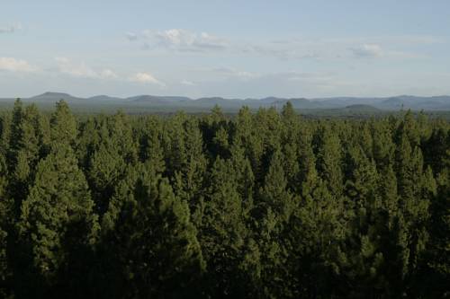 Imagen de la habitación del Hotel Seventh Mountain Resort. Foto 3