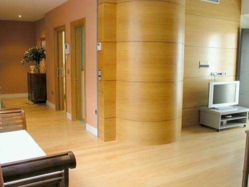 Imagen general del Hotel Sevillaloft Apartamentos De Lujo. Foto 15