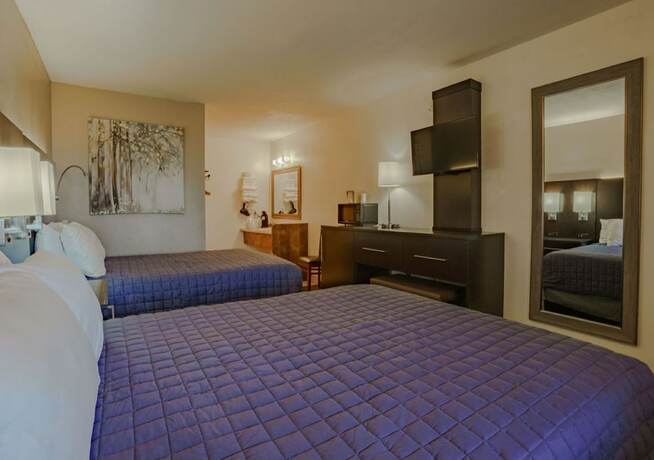 Imagen de la habitación del Hotel Shady Acre Inn and Suites. Foto 18