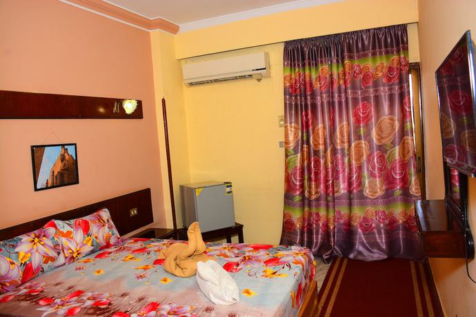 Imagen de la habitación del Hotel Shady Luxor Downtown. Foto 2