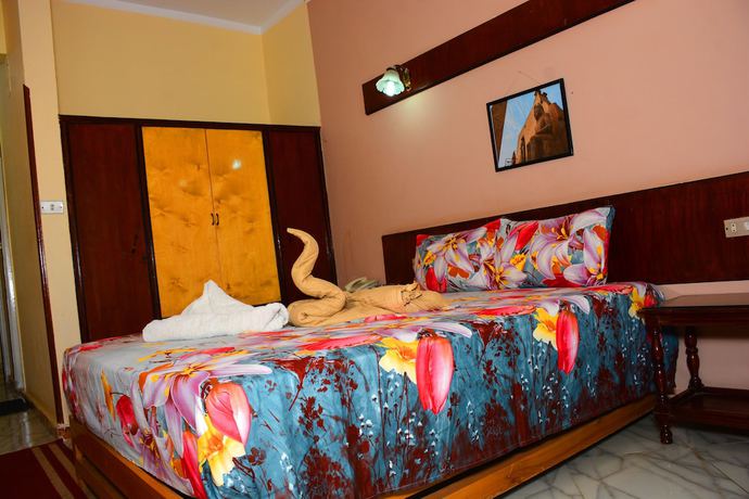 Imagen de la habitación del Hotel Shady Luxor Downtown. Foto 3
