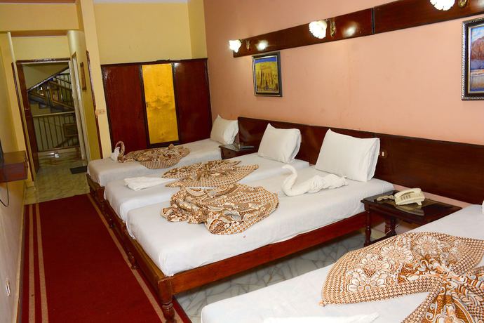 Imagen de la habitación del Hotel Shady Luxor Downtown. Foto 4