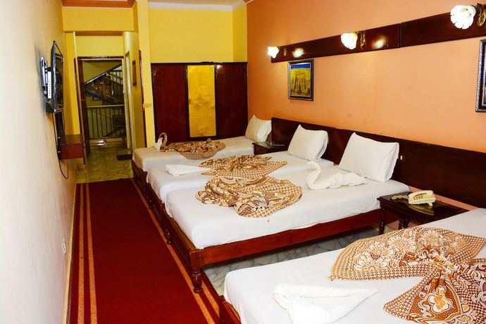 Imagen de la habitación del Hotel Shady Luxor Downtown. Foto 5