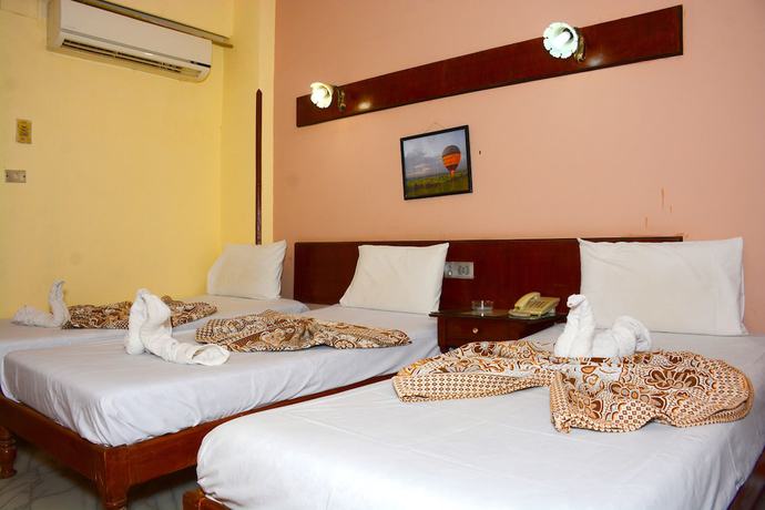 Imagen de la habitación del Hotel Shady Luxor Downtown. Foto 6