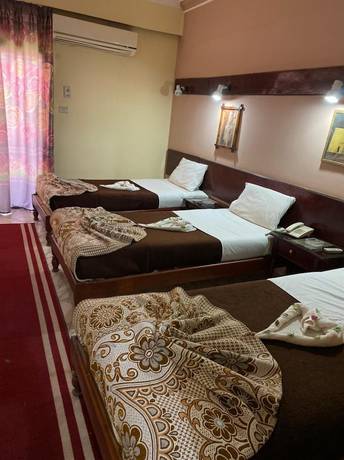 Imagen de la habitación del Hotel Shady Luxor Downtown. Foto 7