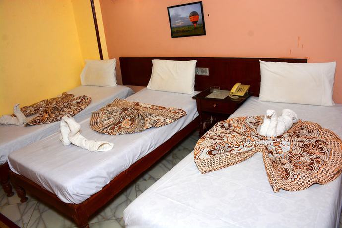Imagen de la habitación del Hotel Shady Luxor Downtown. Foto 9