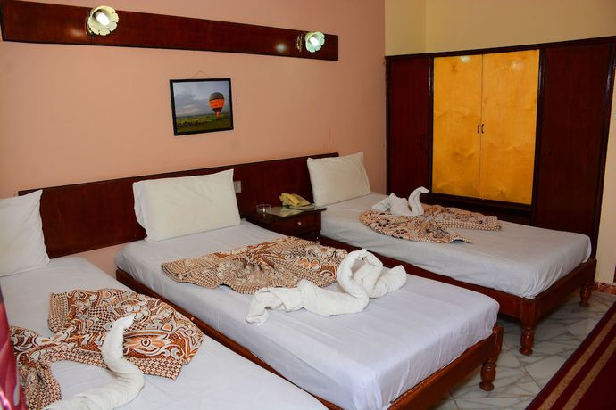 Imagen de la habitación del Hotel Shady Luxor Downtown. Foto 10