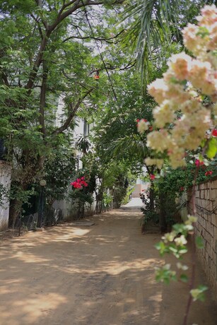 Imagen de los interiores del Hotel Shahar Palace. Foto 30