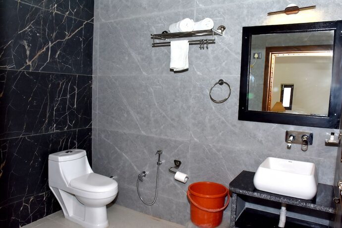 Imagen general del Hotel Shahi Palace. Foto 4