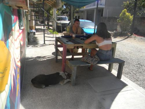 Imagen general del Hotel Shaka Surf House. Foto 5